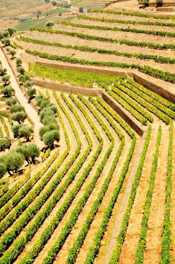 Casas De Pousadouro バイアン エクステリア 写真